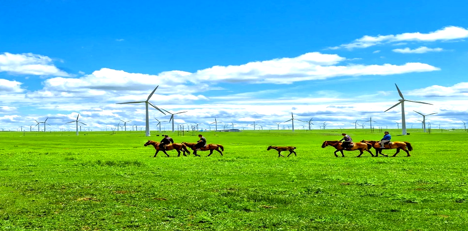 2022年中儀宇盛旅游式團(tuán)建【相約多倫?煥心出發(fā)】(圖1) 2022年中儀宇盛旅游式團(tuán)建【相約多倫?煥心出發(fā)】(圖1)